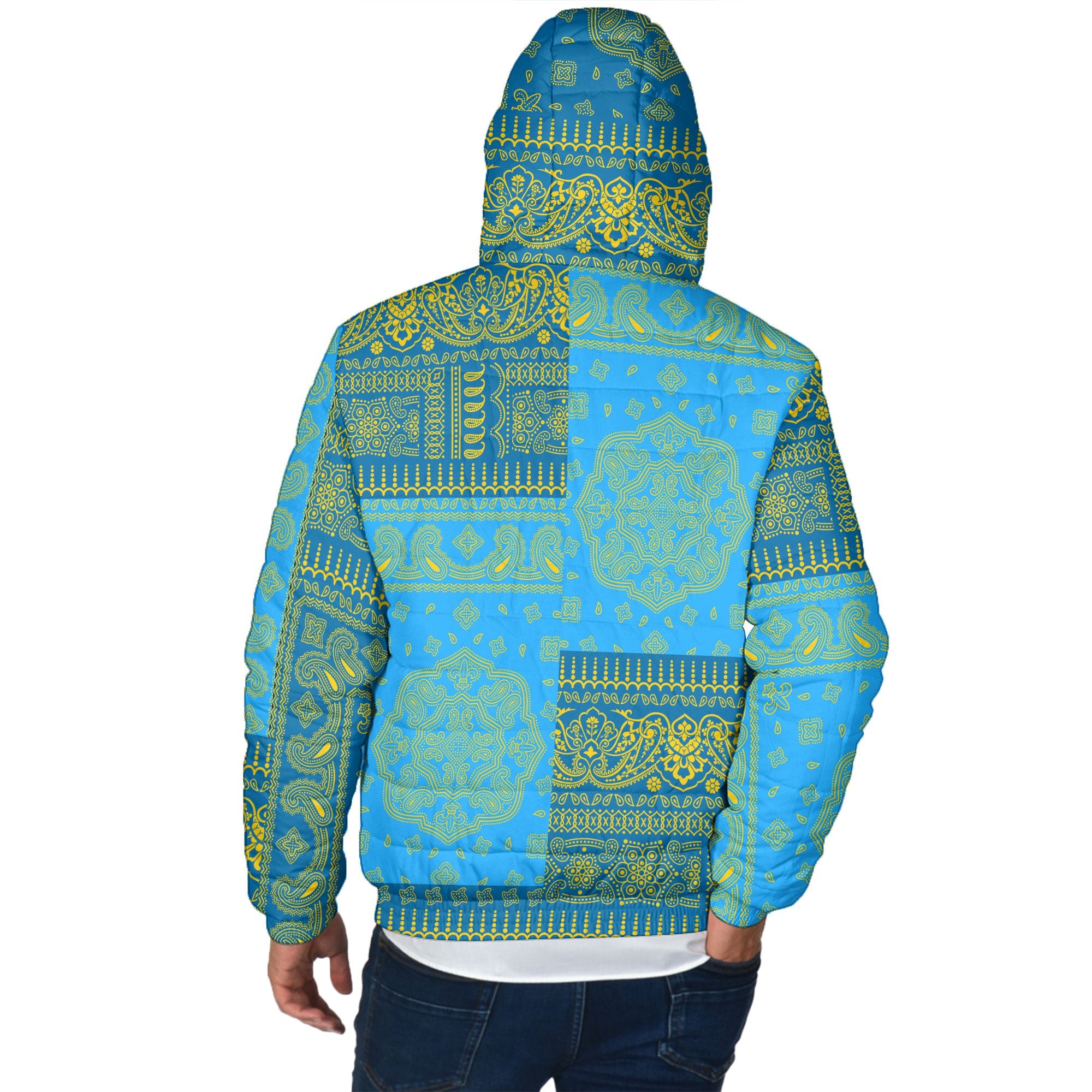 Sweden Men Hooded Padded Jacket Flag And Paisley Basic Style 3