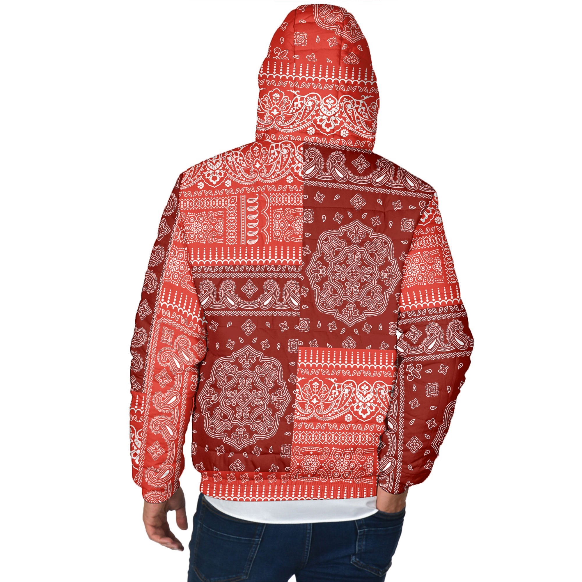 Switzerland Men Hooded Padded Jacket Flag And Paisley Basic Style 3