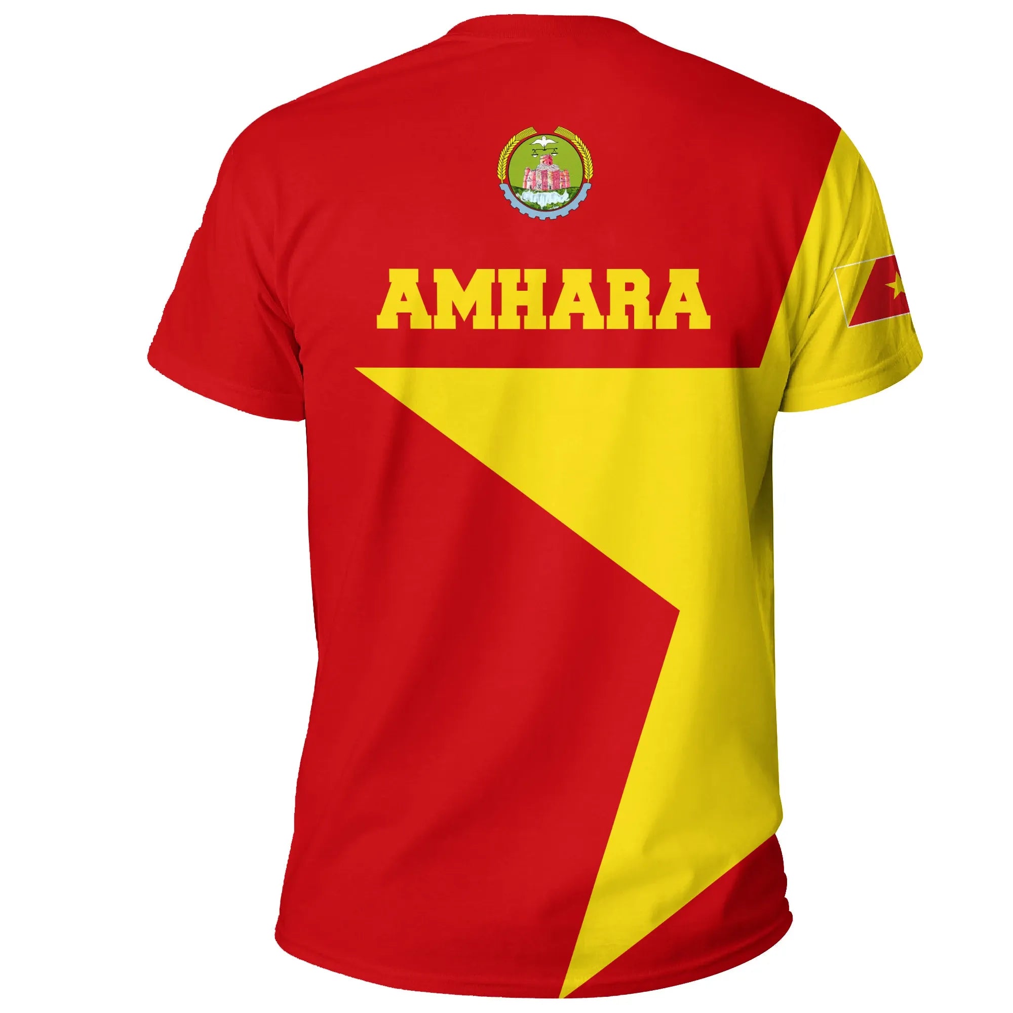 Amhara Flag Men Lion T-shirt