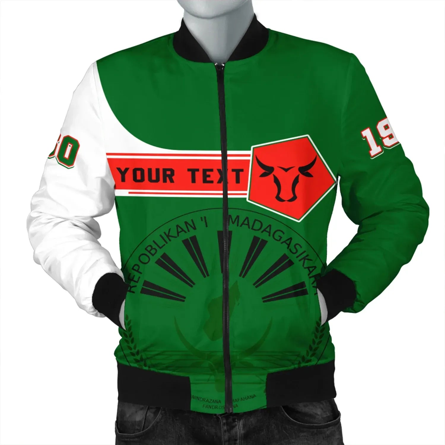 Custom Madagascar Bomber Jacket Pentagon Style