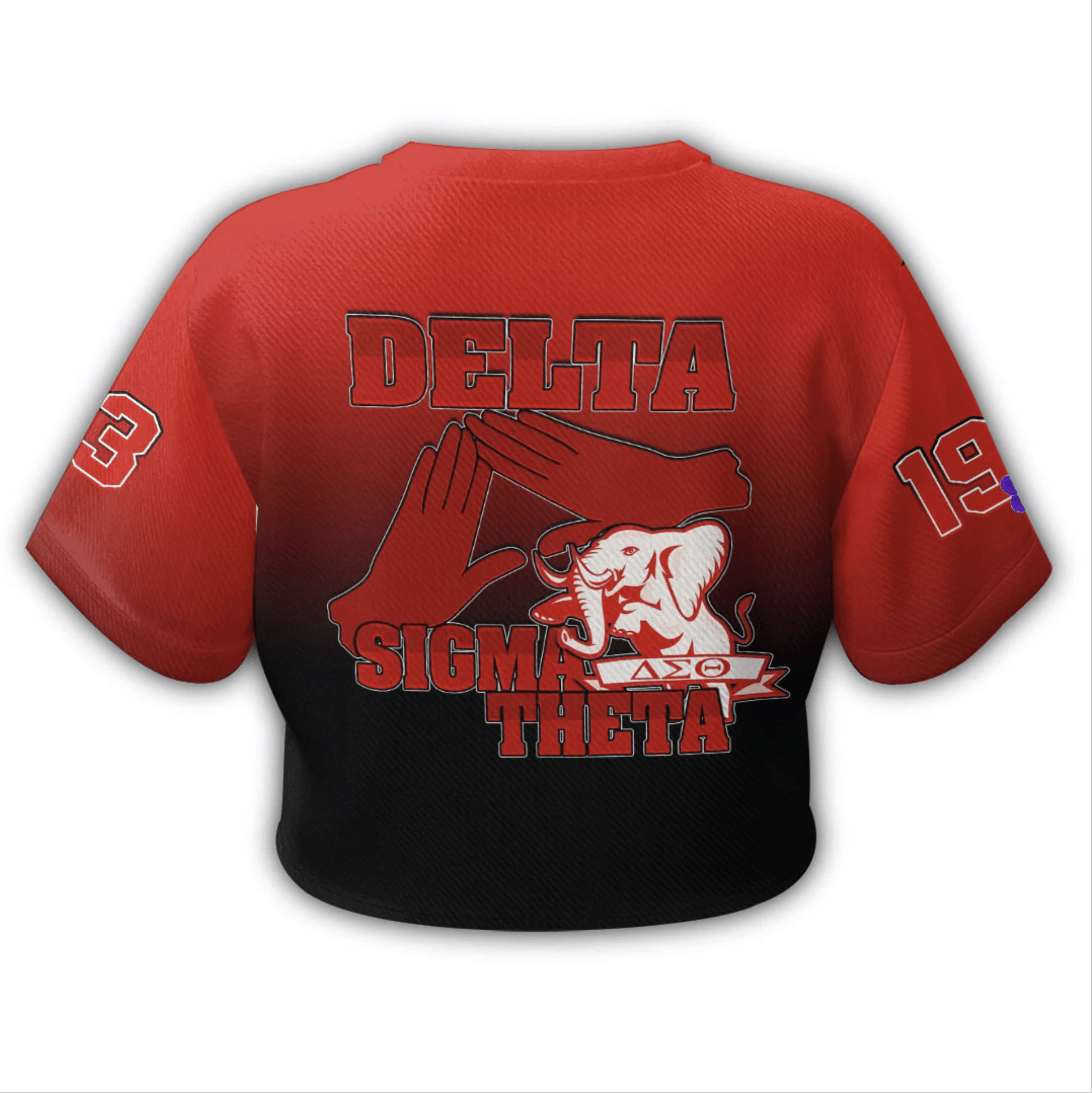 Sorority TShirt - Delta Sigma Theta Gradient Croptop TShirt