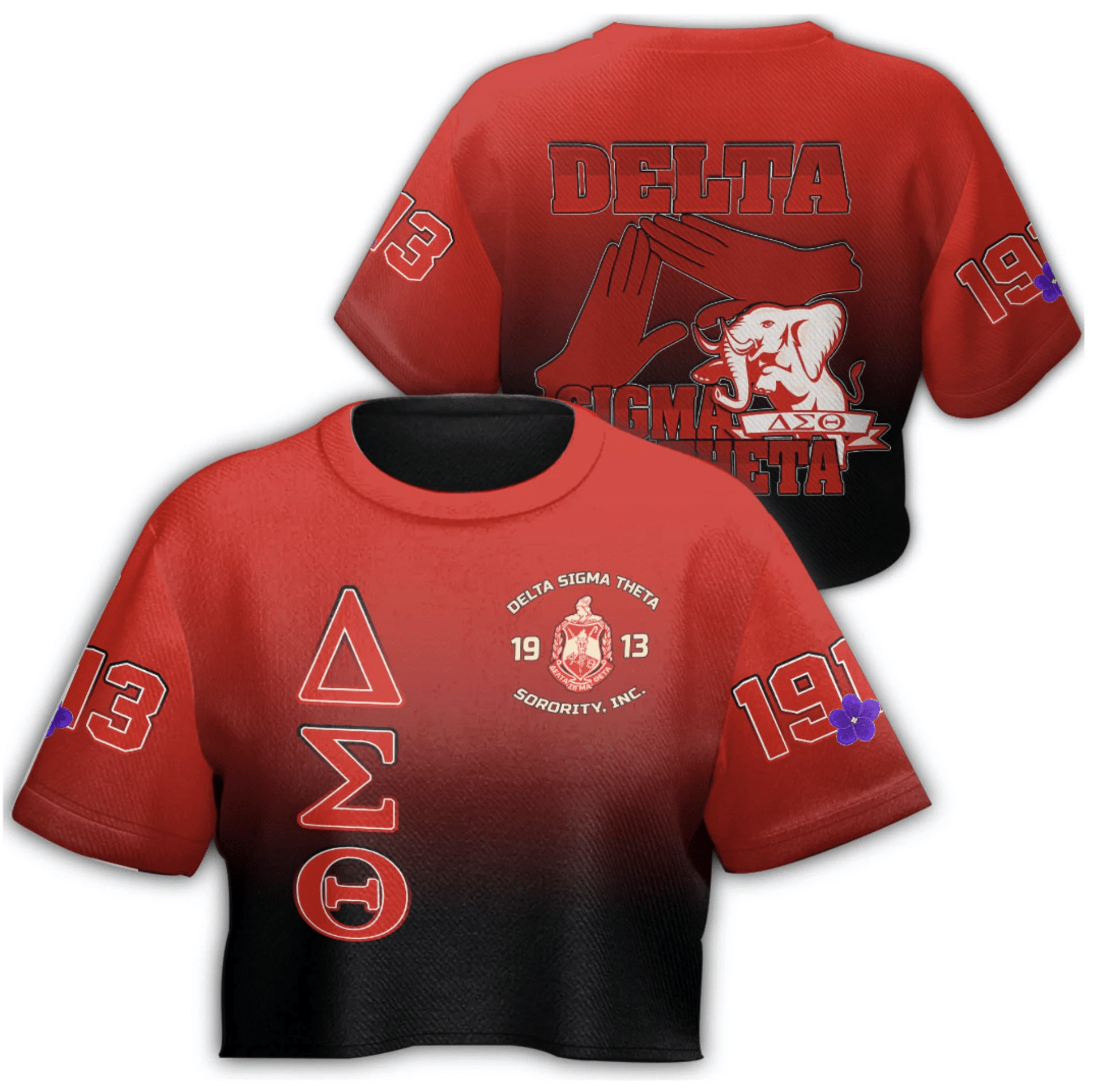 Sorority TShirt - Delta Sigma Theta Gradient Croptop TShirt
