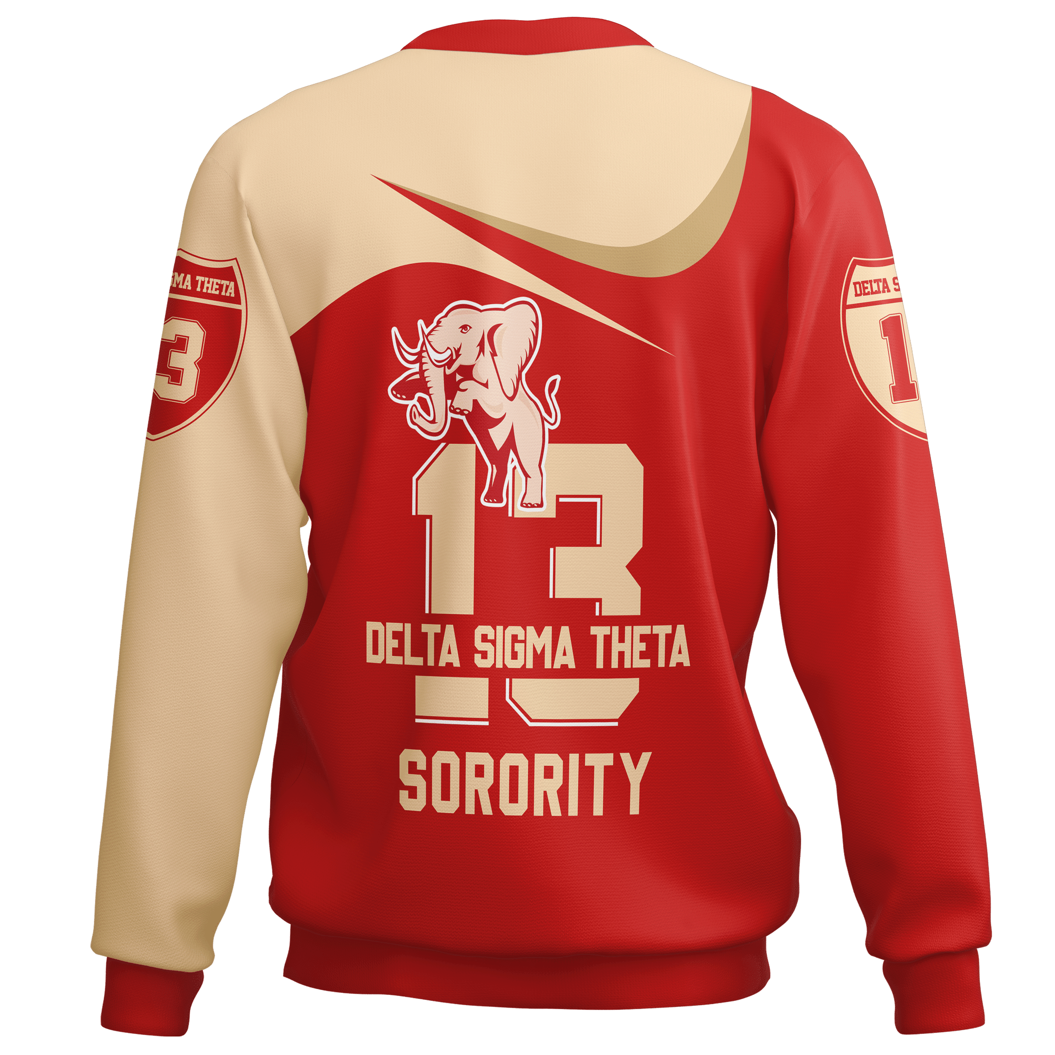 Sorority Sweatshirt - Delta Sigma Theta Curve Style Sweatshirt