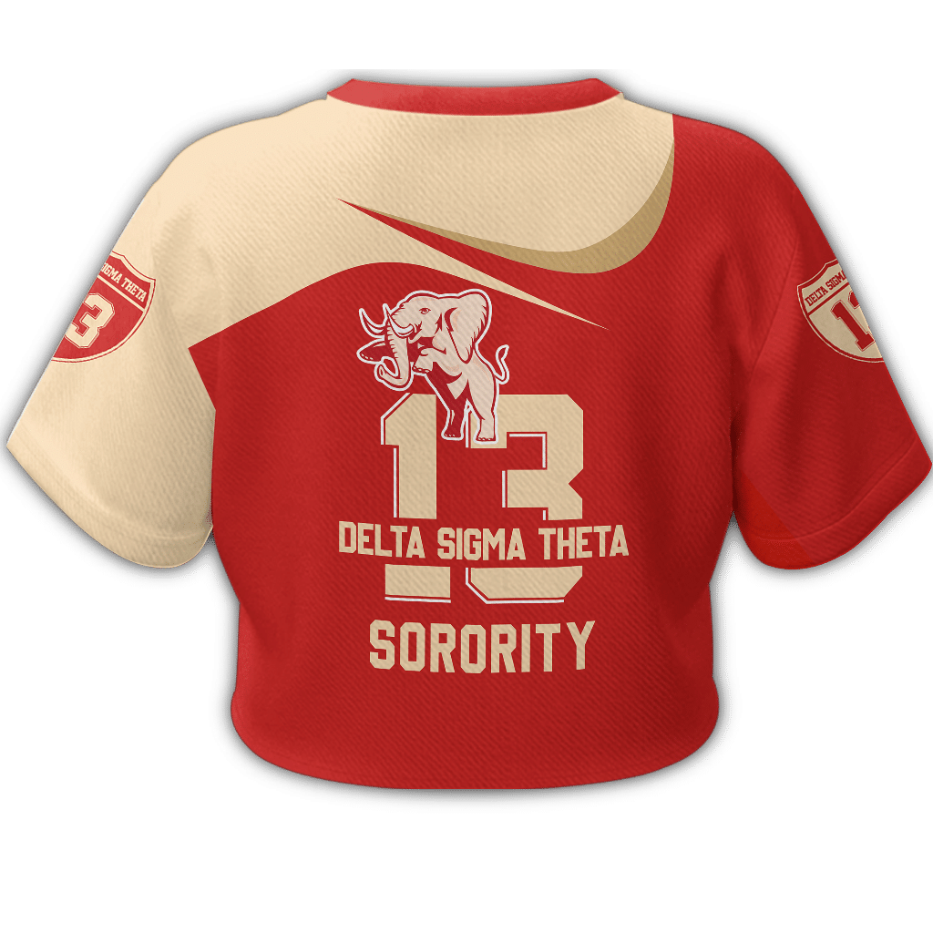 Sorority TShirt - Delta Sigma Theta Curve Style Croptop TShirt