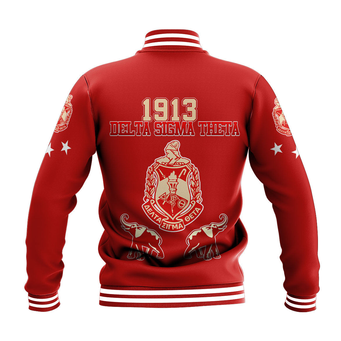 Sorority Jacket - Delta Sigma Theta Greek Life Baseball Jackets
