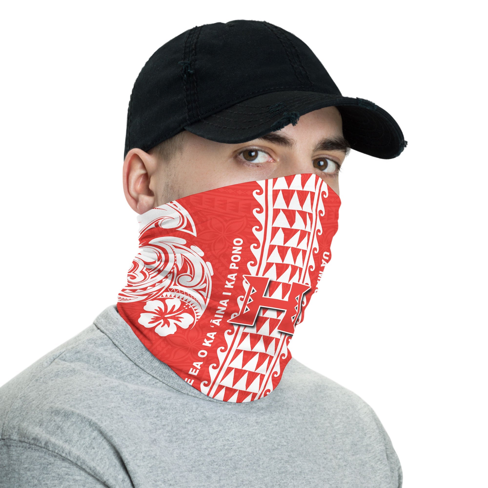 Hilo Hawaii Seal Neck Gaiter Turtle Style