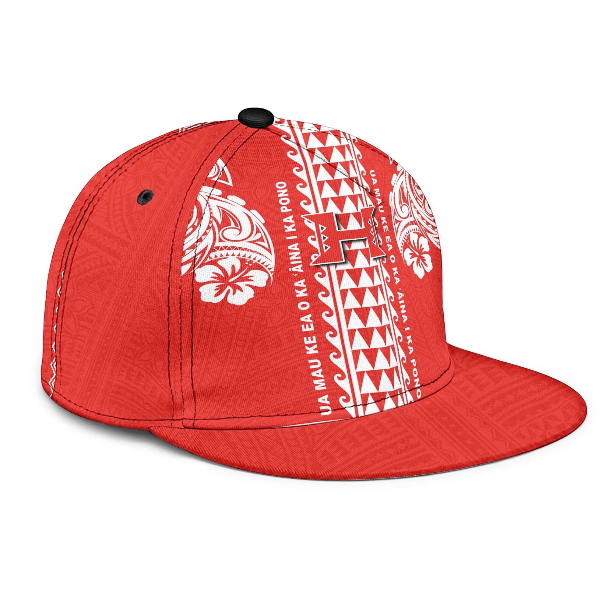 Hilo Hawaii Seal Snapback Hat Turtle Style