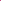 Sorority Shirt - Personalized Sigma Lambda Gamma Women Casual Shirt Original Shocking Pink Style